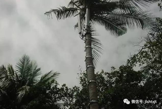 下载4949图库