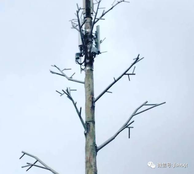 下载4949图库