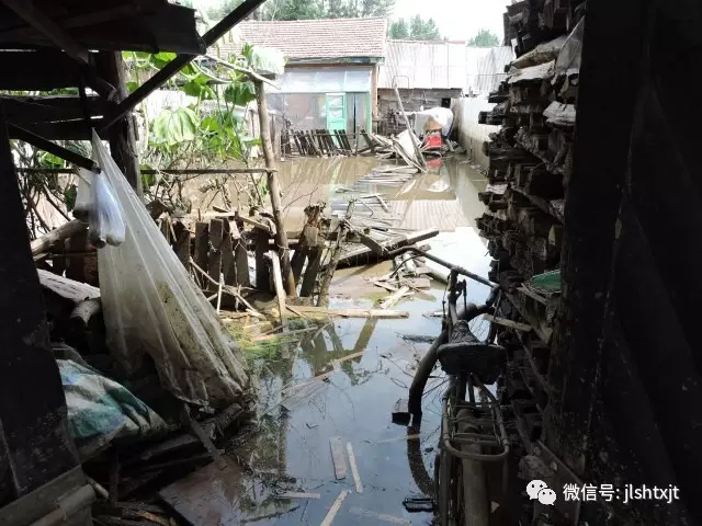 下载4949图库