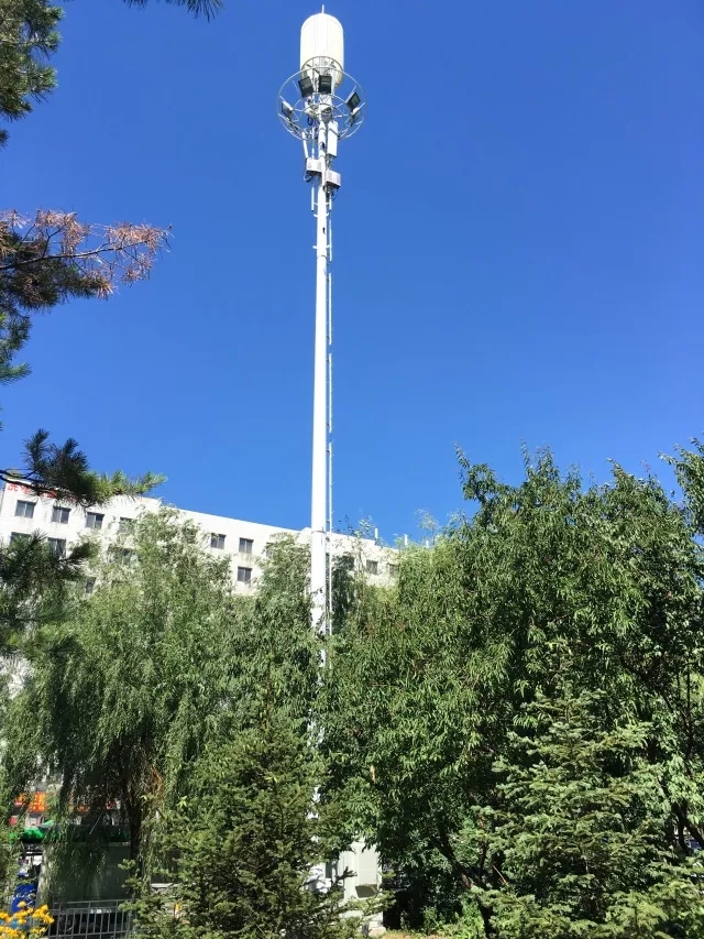 下载4949图库