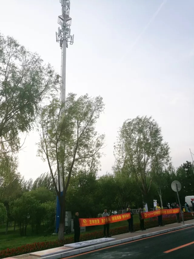 下载4949图库