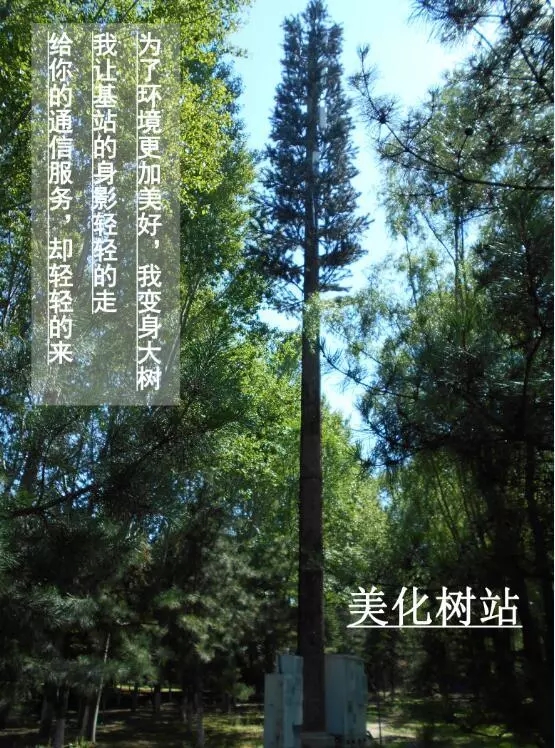 下载4949图库
