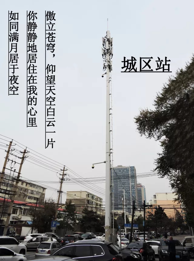 下载4949图库