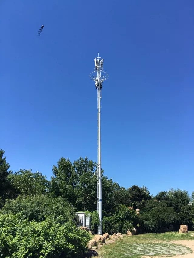 下载4949图库
