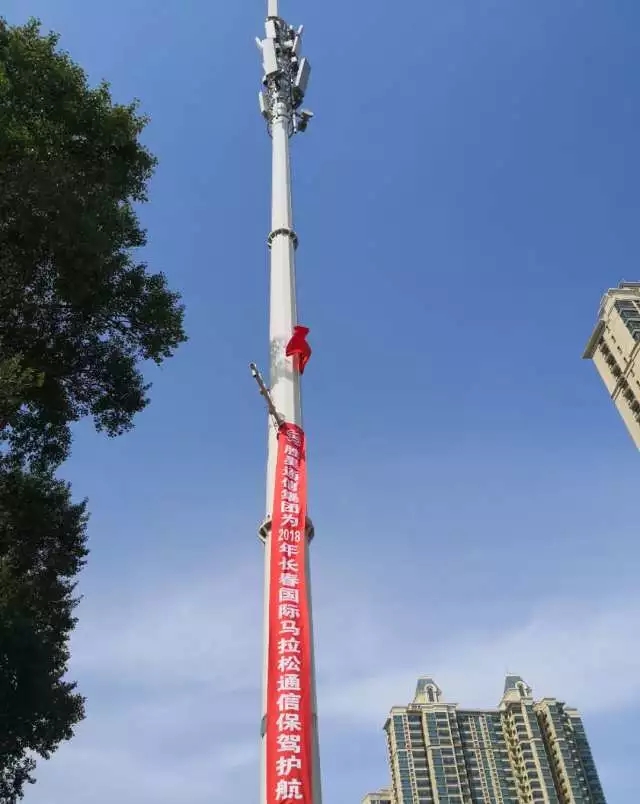 下载4949图库
