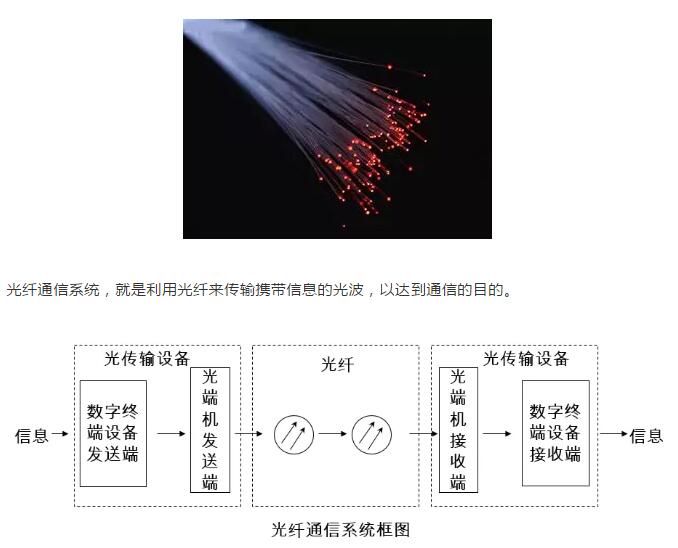 下载4949图库