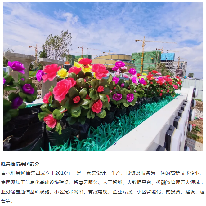 下载4949图库
