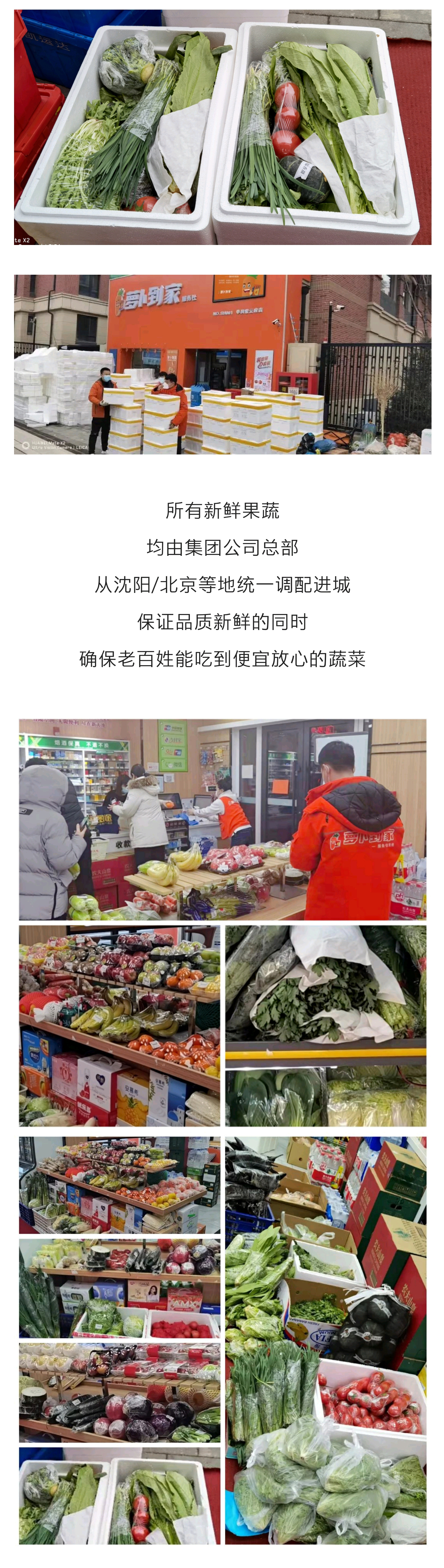 下载4949图库