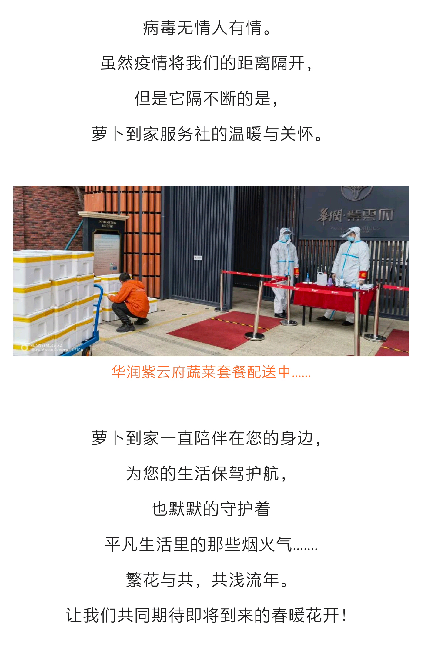 下载4949图库