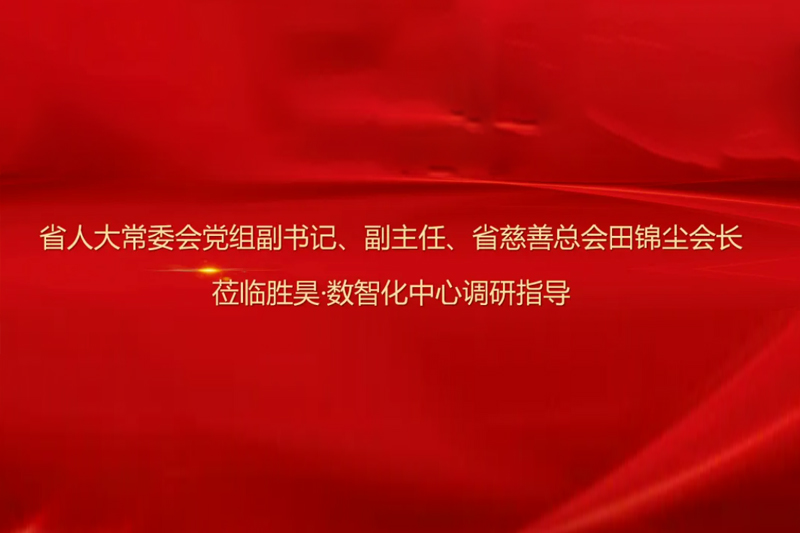 省人大常委会党组副书记、副主任、省慈善总会田锦尘会长莅临胜昊·数智化中心调研指导