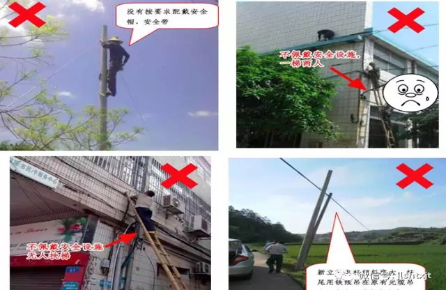 下载4949图库