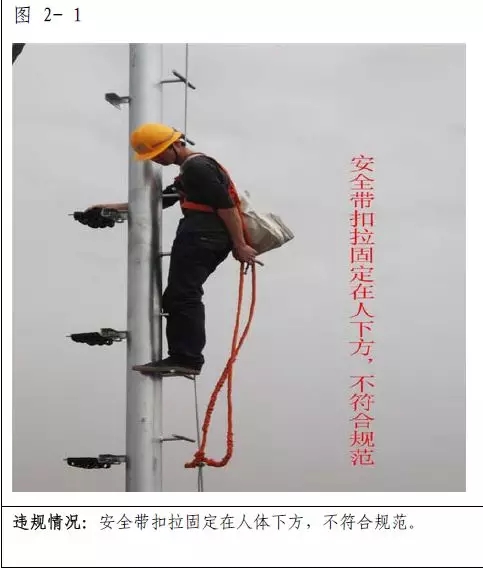 下载4949图库