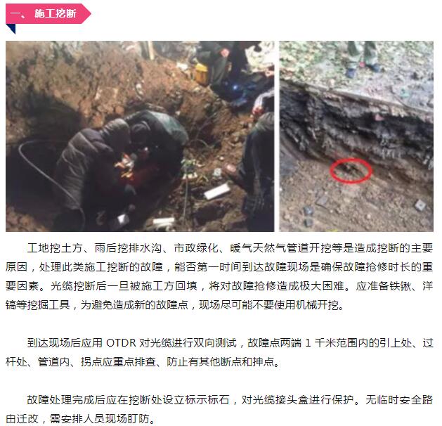 下载4949图库