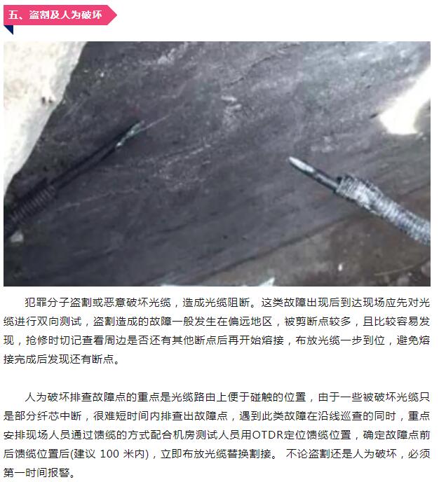 下载4949图库