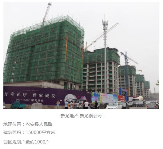 下载4949图库