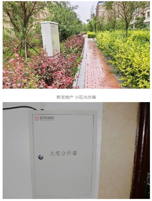 下载4949图库